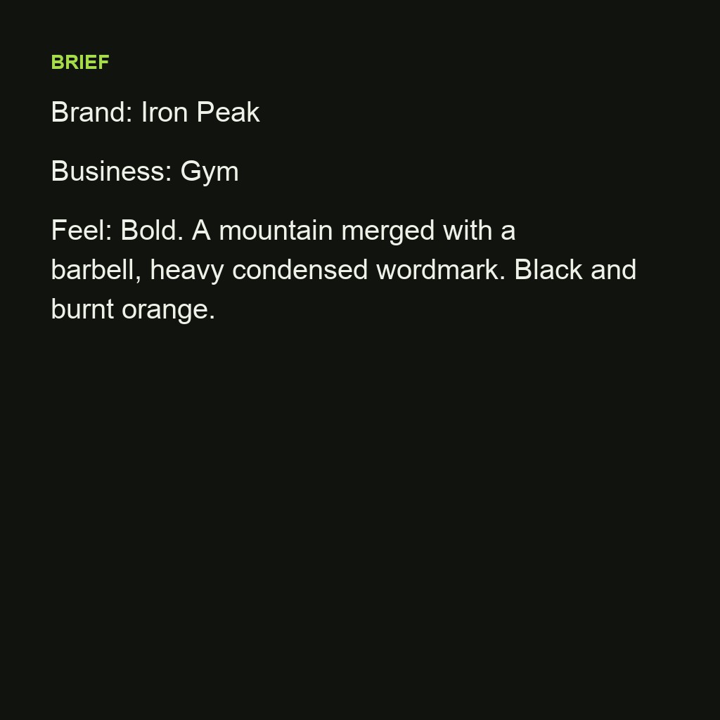 Mountain and barbell logo for a gym — brief