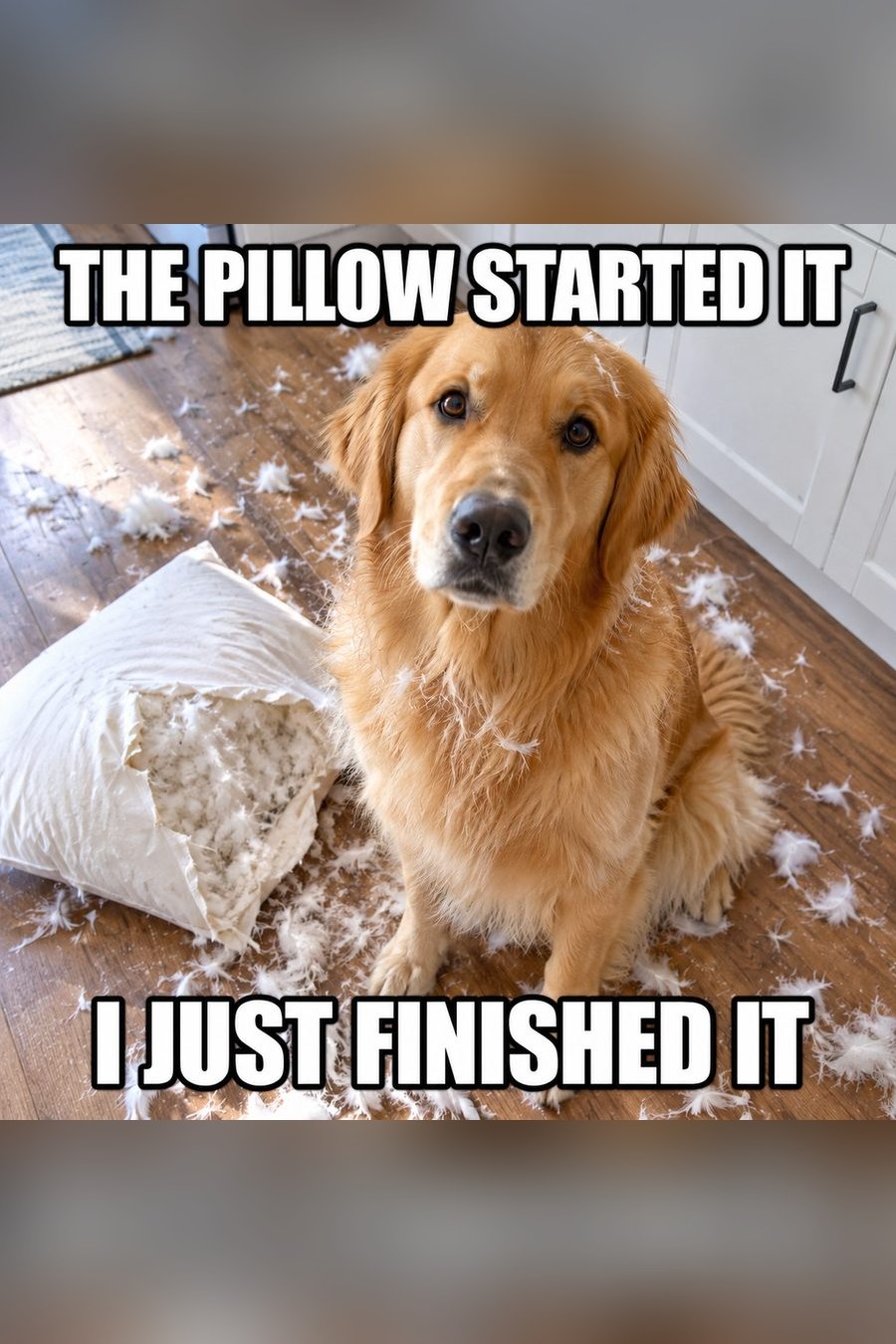 AI meme generator: a golden retriever with a torn pillow turned into a meme captioned the pillow started it, I just finished it