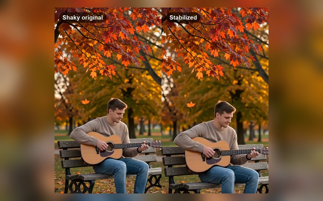 Video Stabilizer