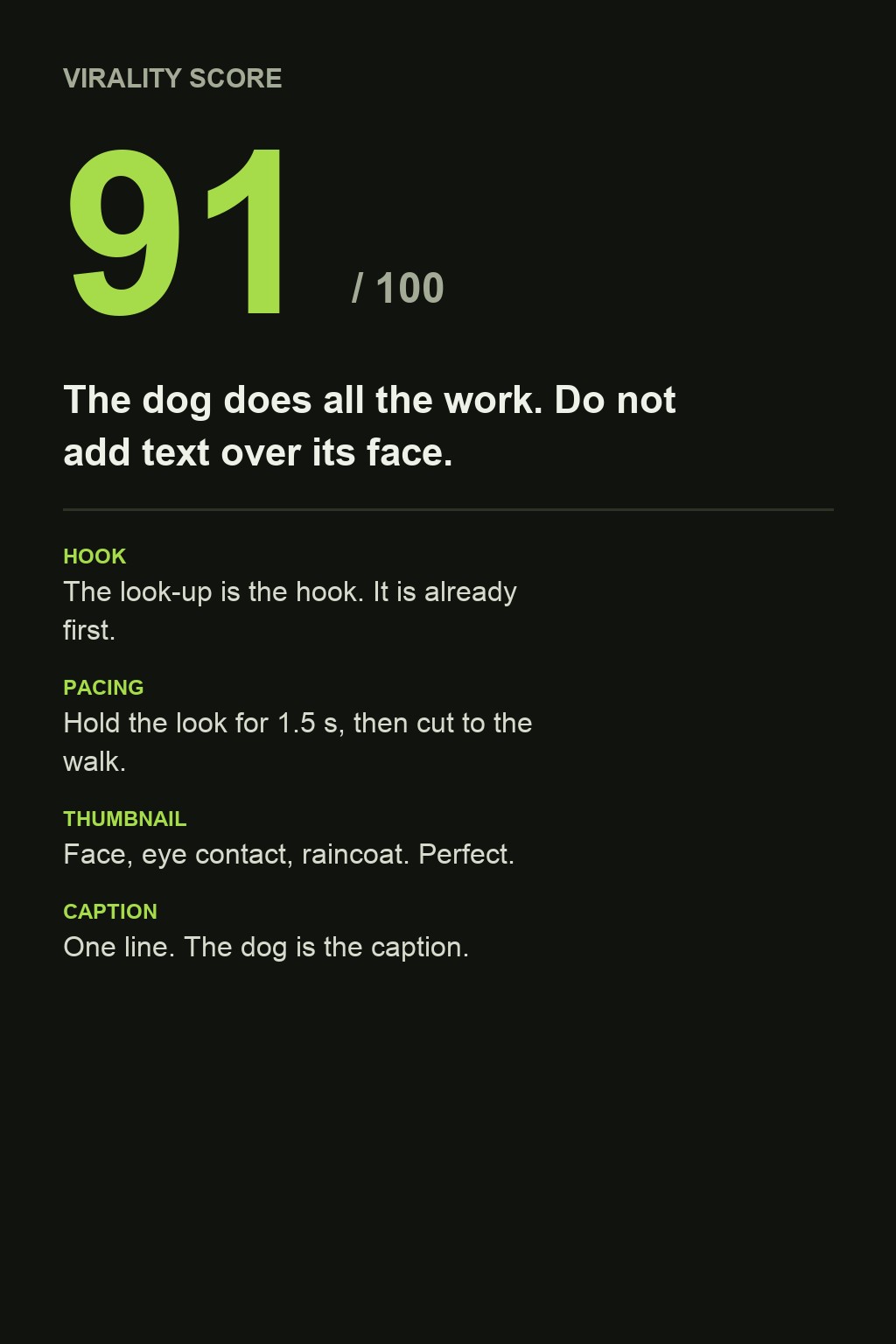 Virality predictor: a corgi in a raincoat thumbnail and its score card